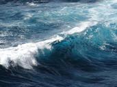 wave-sea-ocean-water-wet-nature-347560.jpg