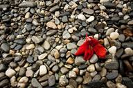 pebbles-pebble-nature-stones-89505.jpg