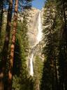 waterfall-redwoods-redwood-trees-1208212.jpg