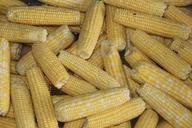 corn-sweet-corn-preserving-freezing-436455.jpg