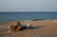 driftwood-shore-line-beach-sand-71597.jpg