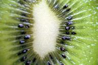 kiwi-fruit-green-food-769598.jpg