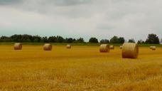 straw-bales-straw-wrapped-up-272570.jpg