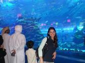 aquarium-laura-fish-645826.jpg