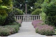 baluster-flowers-arboretum-942319.jpg