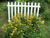 fence-picket-fence-flowers-474001.jpg