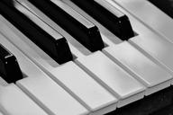 piano-keyboard-keys-music-362249.jpg