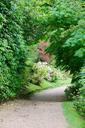 path-walkway-pathway-garden-981862.jpg