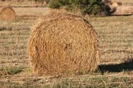 straw-field-farm-summer-nature-487514.jpg