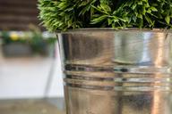 flowerpot-garden-garden-plant-plant-898777.jpg