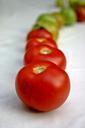 tomatoes-vegetables-red-plant-482484.jpg