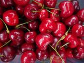 cherries-red-fruit-fruits-healthy-591004.jpg