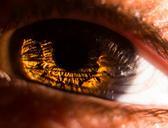 eye-macro-iris-pupil-see-to-watch-229955.jpg