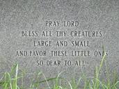 pets-grave-prayer-dog-animal-952765.jpg