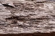 wood-texture-grain-wood-texture-1133706.jpg