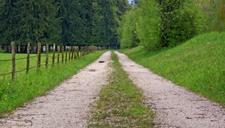 pasture-fence-lane-road-away-1374087.jpg