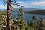 lake-tahoe-emerald-bay-water-lake-177926.jpg