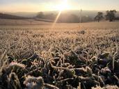 meadow-frost-hoarfrost-landscape-1638661.jpg