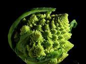 Romanesco broccoli fractals.jpg