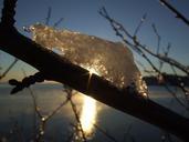 ice-sunset-branch-twig-norway-693038.jpg