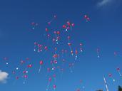 balloons-fly-wedding-693780.jpg