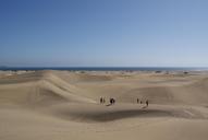 desert-sand-dune-beach-sea-817395.jpg