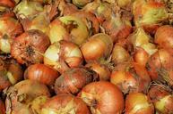 onion-vegetables-a-vegetable-858465.jpg