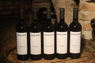 red-wine-wine-bottles-bottles-559074.jpg