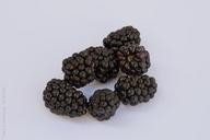 blackberries-fruits-berries-391258.jpg