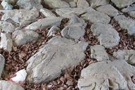 rock-fixed-stones-natural-stones-668101.jpg