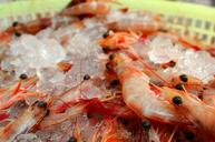 shrimp-prawns-iced-seafood-1578174.jpg