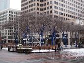 seattle-snow-westlake-city-325394.jpg