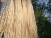 hair-blonde-bright-long-675689.jpg