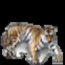 Siberian tiger template.gif