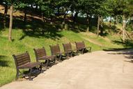 bench-chair-forest-wood-park-362512.jpg