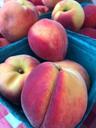 peaches-farmers-market-ripe-fruit-1528209.jpg