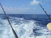 fishing-deep-sea-fishing-hawaii-577514.jpg