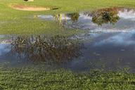 golf-golf-course-flooding-water-1135194.jpg