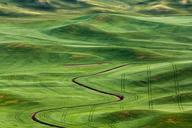 Palouse_Region_of_Washington_State.jpg