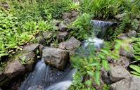 Waterfall, Royal Botanic Garden Edinburgh, Scotland, GB, IMG 3800 edit.jpg