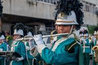 musician-band-marching-parade-545309.jpg