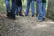 feet-walking-hiking-trails-woods-937698.jpg