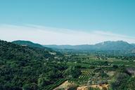 ojai-california-vineyards-landscape-926499.jpg