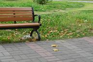 seat-grassland-public-seating-bench-1028394.jpg