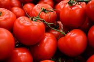 tomato-vegetables-fresh-supermarket-1129779.jpg