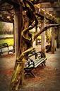 bench-central-park-nyc-535651.jpg