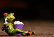 frog-cinema-popcorn-funny-cute-1672886.jpg