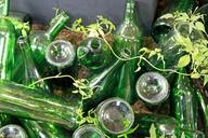 bottles-green-empty-decoration-659150.jpg