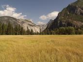 yosemite-national-park-valley-363997.jpg