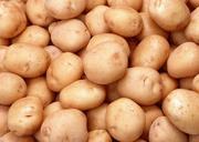 Fresh-organic-potatoes.jpg